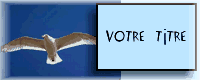 19010.gif (5493 octets)