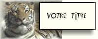 19011.gif (6525 octets)