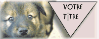 19013.gif (7314 octets)