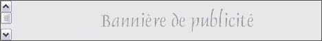 banner.gif (2295 octets)
